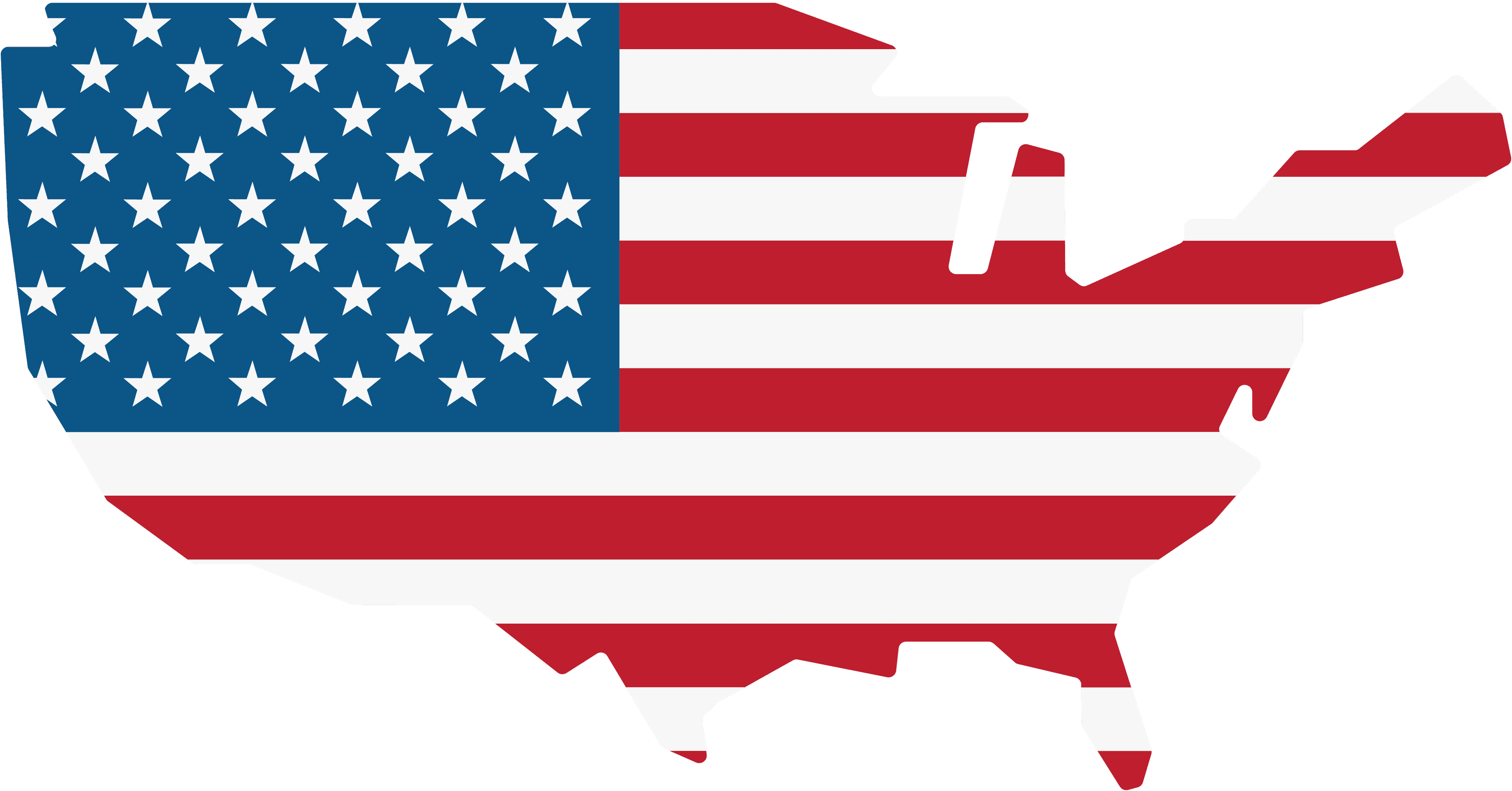 USA Logo